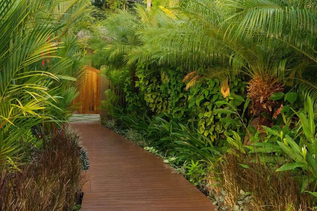 Casa Chameleon Hotel Mal Pais - Adults Only Playa Santa Teresa  المرافق الصورة