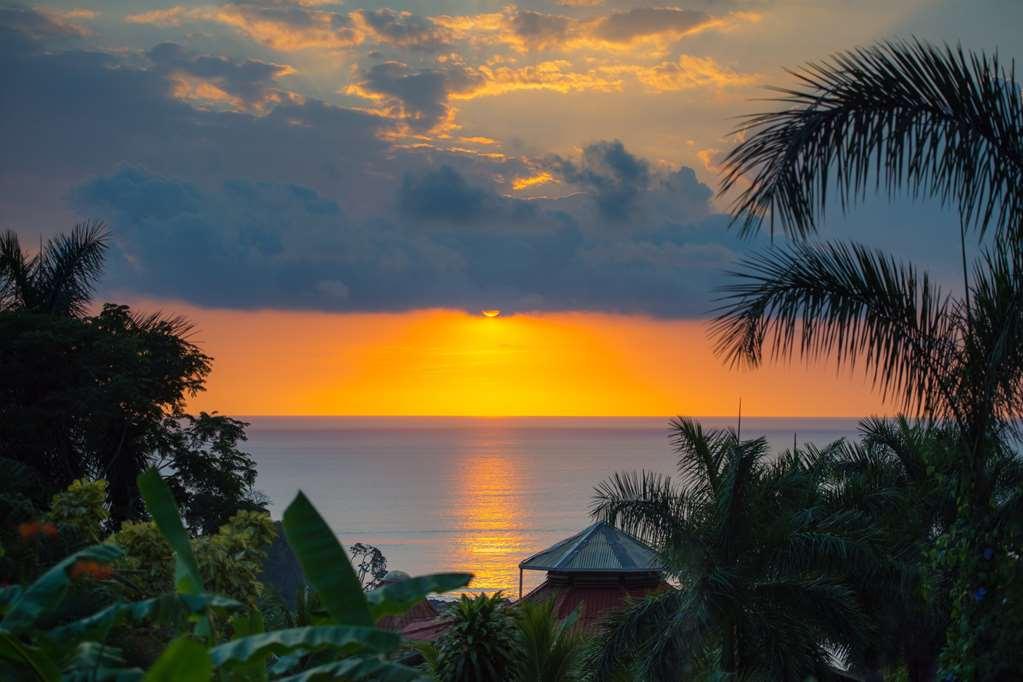 Casa Chameleon Hotel Mal Pais - Adults Only Playa Santa Teresa  المرافق الصورة